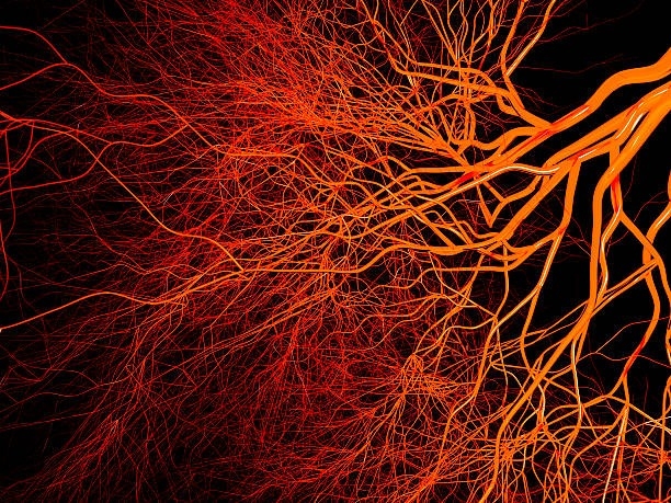 Chronic Venous Insufficiency: Causes, Symptoms, and Treatment