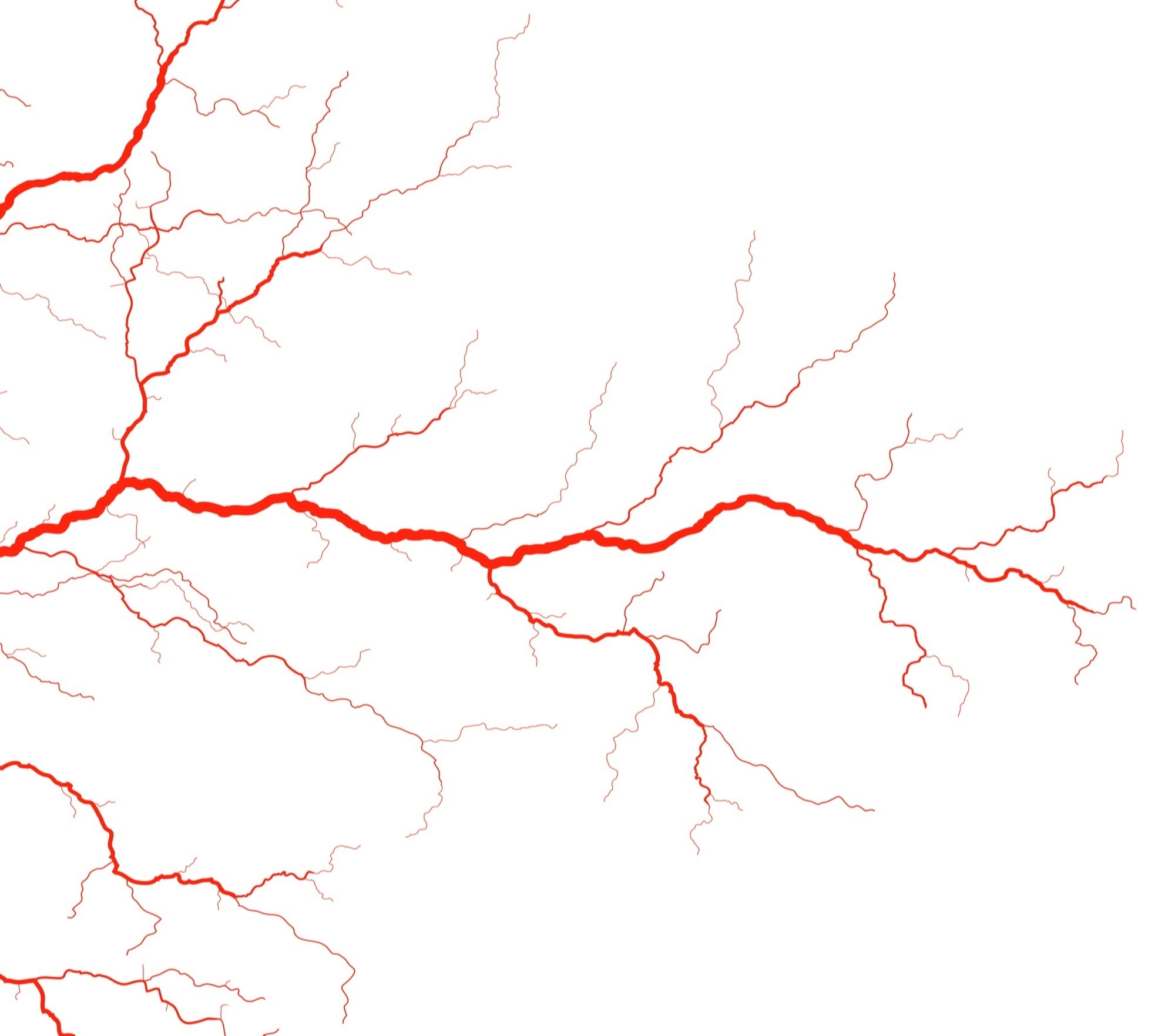 Rest pain blood vessels on a white background.